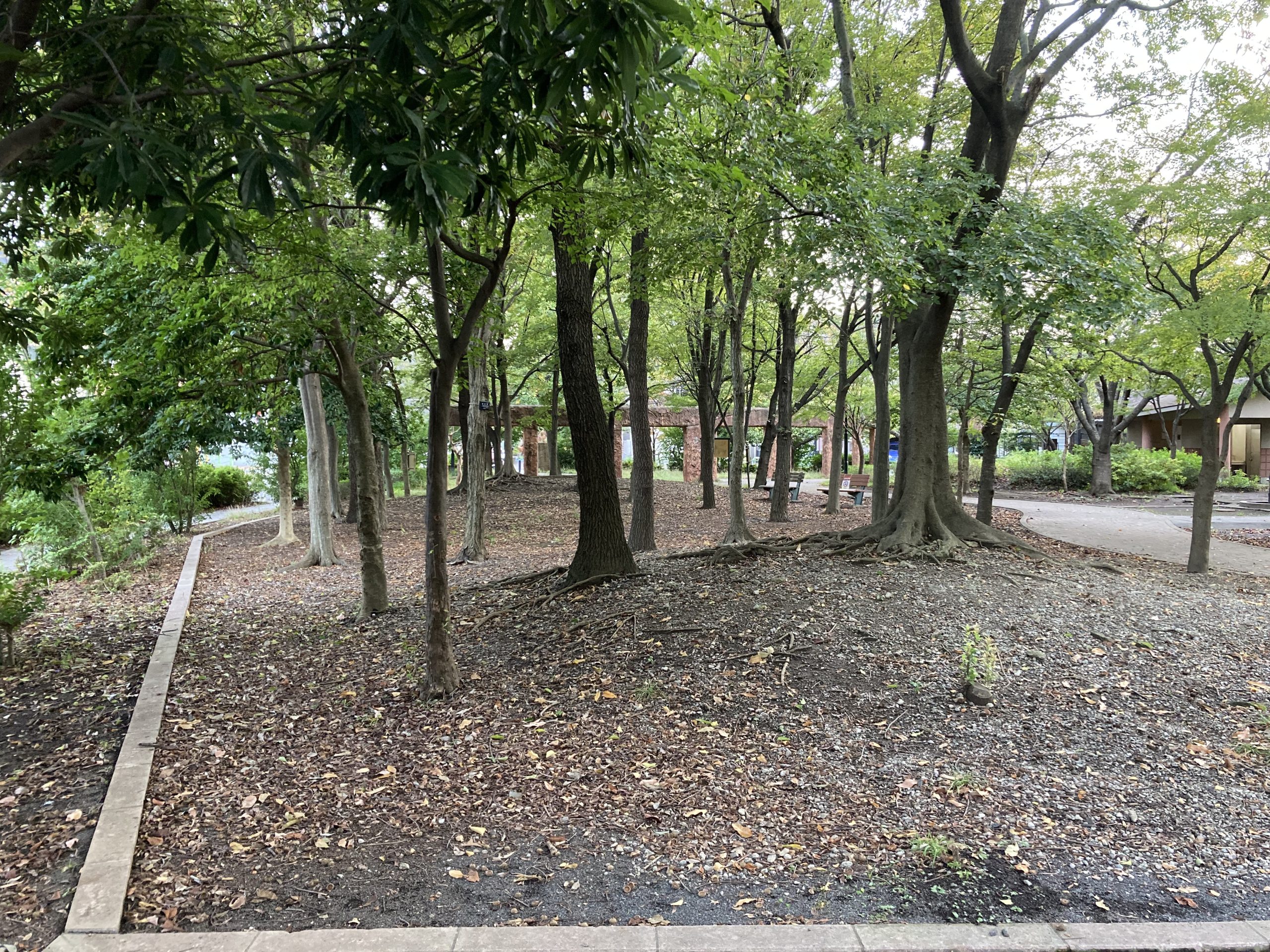 豊島馬場遺跡公園